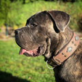 Collar para perro "Azteca" gris