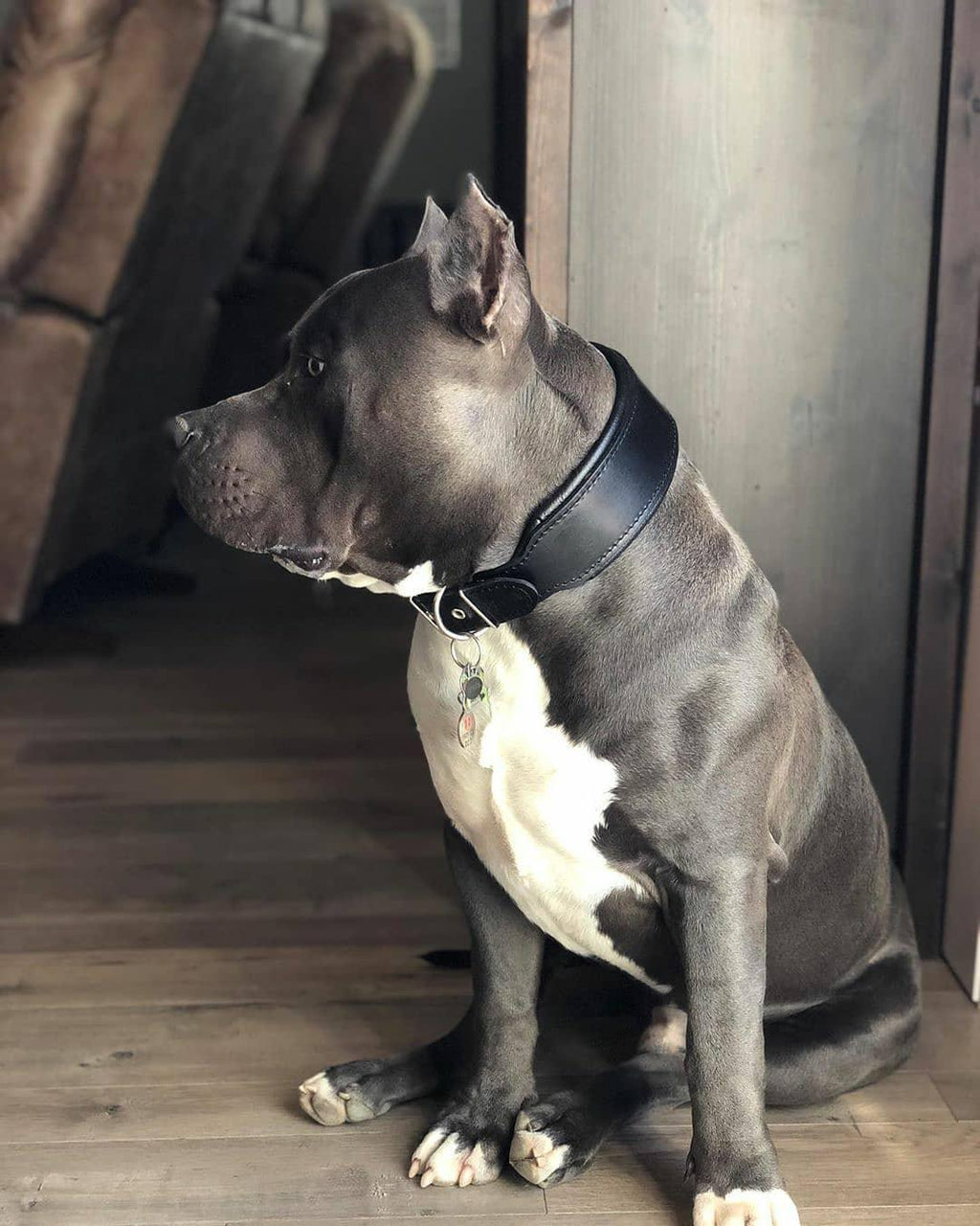 Collar "Style" liso negro