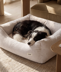 Cama Perro Pana Blanco Hueso, Snozy