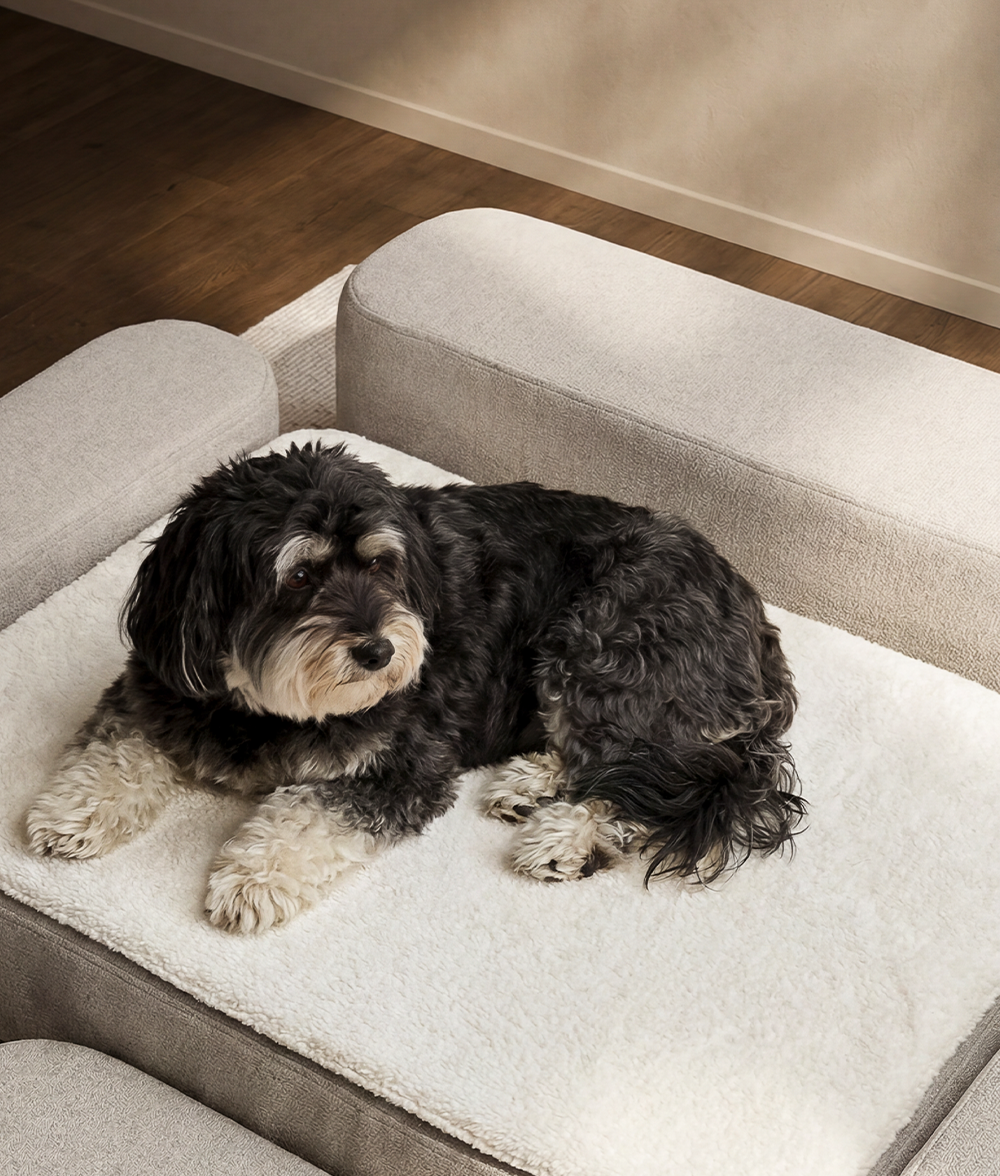 Topper para Cama Ortopédica Perro, Soma